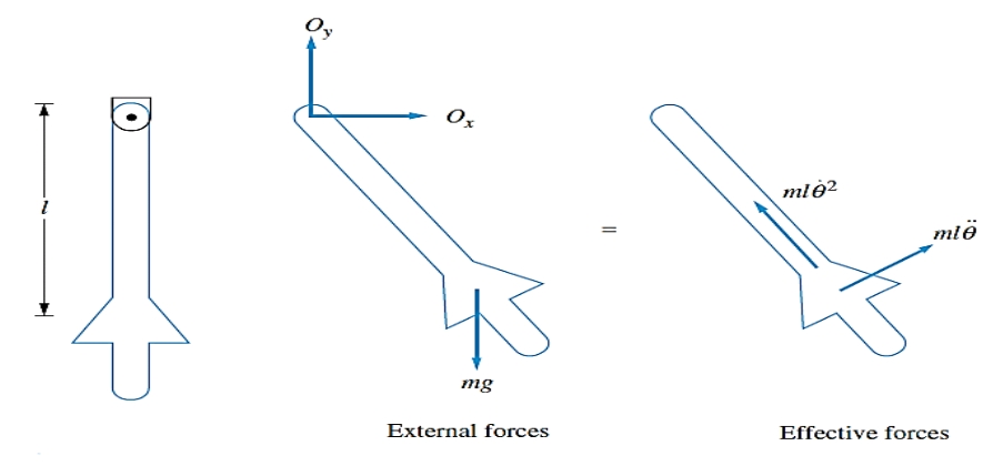 Ox
mlė?
mlë
=
mg
External forces
Effective forces
