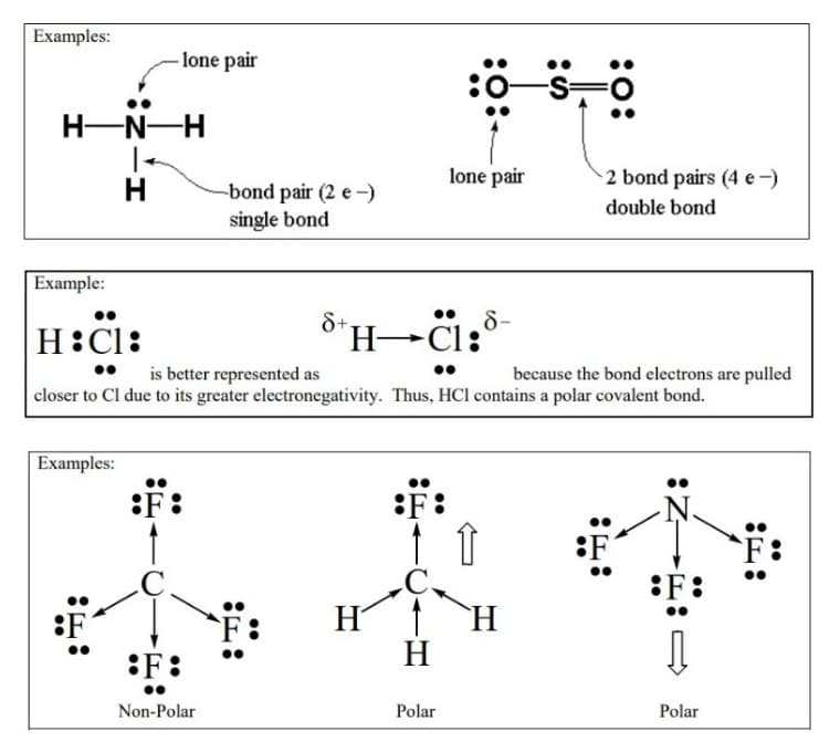 Examples:
Example:
H▬N▬H
HIN:
Examples:
:F
Н
lone pair
:
-bond pair (2 e-)
single bond
:F:
Non-Polar
8+.
H
:F:
H:Cl:
HCl:o
is better represented as
closer to Cl due to its greater electronegativity. Thus, HCl contains a polar covalent bond.
H
:0:
Polar
lone pair
8-
:S
H
-S=
:0:
2 bond pairs (4 e-)
double bond
because the bond electrons are pulled
F:
Pola