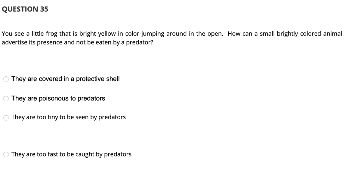 QUESTION 35
You see a little frog that is bright yellow in color jumping around in the open. How can a small brightly colored animal
advertise its presence and not be eaten by a predator?
They are covered in a protective shell
O They are poisonous to predators
They are too tiny to be seen by predators
O They are too fast to be caught by predators
