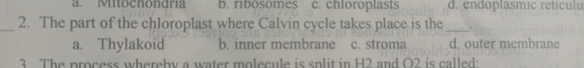 C. chloroplasts
a.
itochondria
b. ribosomes
d. endoplasmic reticulur
2. The part of the chloroplast where Calvin cycle takes place is the
a. Thylakoid
iwollot
d. outer membrane
b. inner membrane
C. stroma
3 The process wherehy a water molecule is split in H2 and 02 is called:

