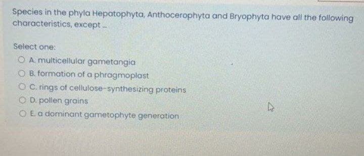 Species in the phyla Hepatophyta, Anthocerophyta and Bryophyta have all the following
characteristics, except.
Select one:
O A. multicellular gametangia
B. formation of a phragmoplast
O C. rings of cellulose-synthesizing proteins
O D. pollen grains
O E. a dominant gametophyte generation
