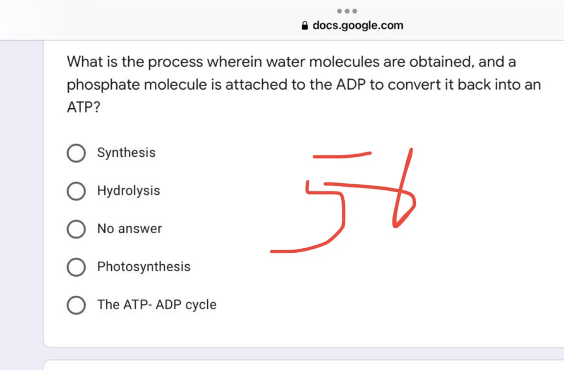 docs.google.com
What is the process wherein water molecules are obtained, and a
phosphate molecule is attached to the ADP to convert it back into an
ATP?
Synthesis
O Hydrolysis
56
O No answer
Photosynthesis
The ATP-ADP cycle