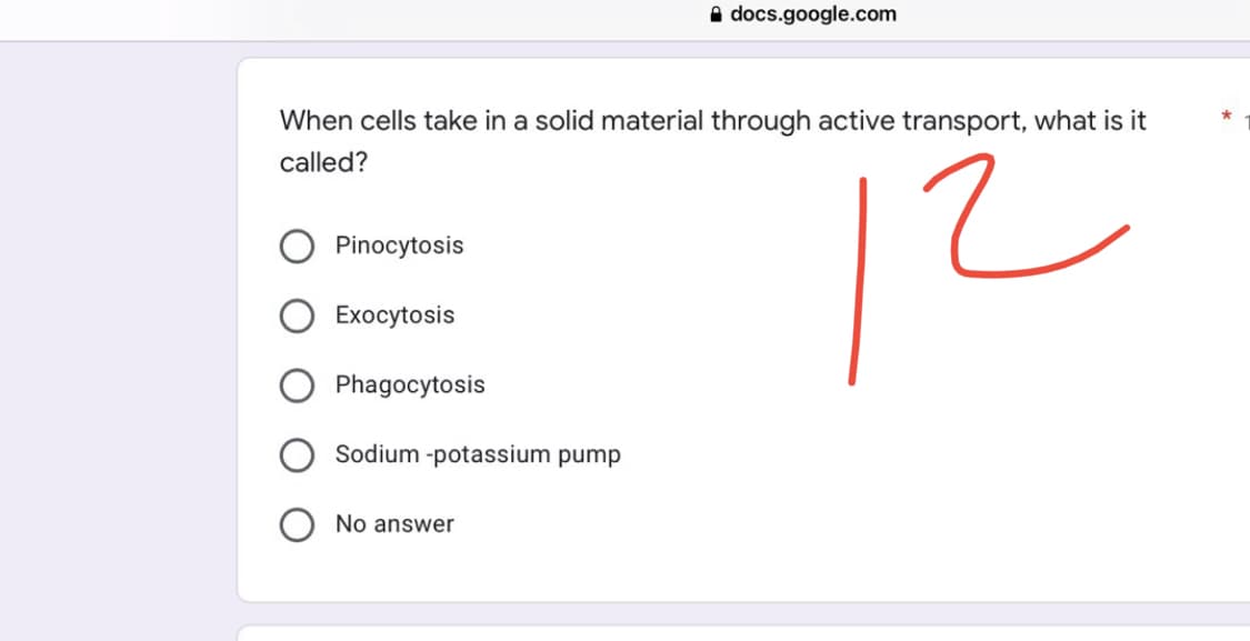 docs.google.com
When cells take in a solid material through active transport, what is it
called?
Pinocytosis
12
Exocytosis
Phagocytosis
Sodium -potassium pump
No answer