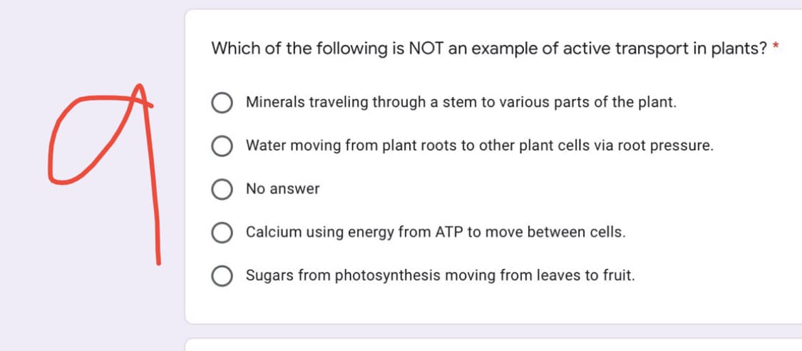 а
Which of the following is NOT an example of active transport in plants? *
Minerals traveling through a stem to various parts of the plant.
Water moving from plant roots to other plant cells via root pressure.
No answer
Calcium using energy from ATP to move between cells.
Sugars from photosynthesis moving from leaves to fruit.