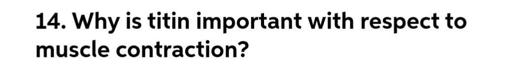 14. Why is titin important with respect to
muscle contraction?
