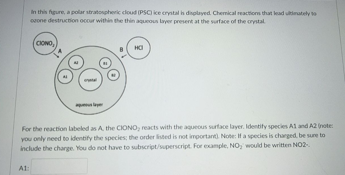In this figure, a polar stratospheric cloud (PSC) ice crystal is displayed. Chemical reactions that lead ultimately to
ozone destruction occur within the thin aqueous layer present at the surface of the crystal.
CIONO,
B
HCI
A1
crystal
aqueous layer
For the reaction labeled as A, the CIONO2 reacts with the aqueous surface layer. Identify species A1 and A2 (note:
you only need to identify the species; the order listed is not important). Note: If a species is charged, be sure to
include the charge. You do not have to subscript/superscript. For example, NO2 would be written NO2-.
А1:
