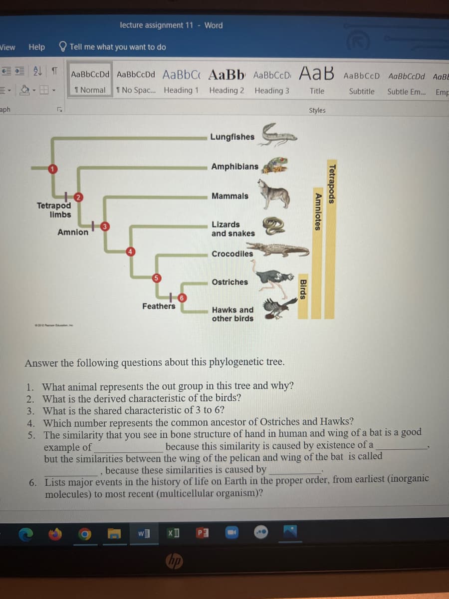 lecture assignment 11 - Word
View Help
Tell me what you want to do
ATT AaBbCcDd AaBbCcDd AaBbC AaBb AaBbCcD. AaB AaBb CcD AaBbCcDd AaBE
1 Normal 1 No Spac... Heading 1.
Heading 2 Heading 3
Title
Subtitle
Subtle Em... Emp
aph
₪
Styles
Lungfishes
Amphibians
Mammals
Tetrapod
limbs
Lizards
and snakes
Crocodiles
Ostriches
Feathers
Hawks and
other birds
2010 P Excelen, in
Answer the following questions about this phylogenetic tree.
1. What animal represents the out group in this tree and why?
2. What is the derived characteristic of the birds?
3. What is the shared characteristic of 3 to 6?
4. Which number represents the common ancestor of Ostriches and Hawks?
5. The similarity that you see in bone structure of hand in human and wing of a bat is a good
example of
because this similarity is caused by existence of a
but the similarities between the wing of the pelican and wing of the bat is called
because these similarities is caused by
6. Lists major events in the history of life on Earth in the proper order, from earliest (inorganic
molecules) to most recent (multicellular organism)?
W
XI
Amnion
Birds
Amniotes
Tetrapods