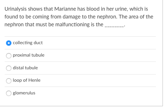 Urinalysis shows that Marianne has blood in her urine, which is
found to be coming from damage to the nephron. The area of the
nephron that must be malfunctioning is the ,
collecting duct
proximal tubule
distal tubule
loop of Henle
glomerulus
