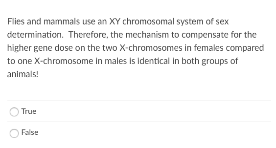 Flies and mammals use an XY chromosomal system of sex
determination. Therefore, the mechanism to compensate for the
higher gene dose on the two X-chromosomes in females compared
to one X-chromosome in males is identical in both groups of
animals!
True
False
