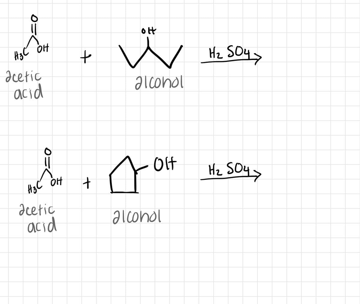 A3C OH
Hz SOy>
acetic
acid
alconol
Olf
Hz SOy>
A3C OH
dcetic
acid
alcohol

