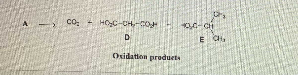 CH3
HO,C-CH
CO2 + HO,C-CH2-CO,H
D.
E CH3
Охidation products
