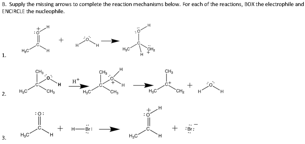B. Supply the missing arrows to complete the reaction mechanisms below. For each of the reactions, BOX the electrophile and
ENCIRCLE the nucleophile.
1.
2.
3.
H₂C
H₂C
H₂C
CH3
:O:
CH3
H
+
H+
H₂C
+ H- -Br:
CH3
CH3
H₂C
H
H₂C
H₂C
:0
H
CH3
CH₂
+
+
:Br: