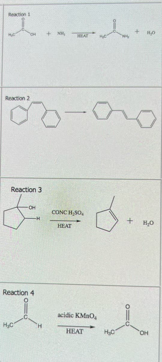 Reaction 1
O
H₂C
Reaction 2
OH
Reaction 3
H₂C
-OH
Reaction 4
-H
+
8-
H
NH₂
HEAT
CONC H₂SO4
HEAT
acidic KMnO4
HEAT
سل
H₂C
H₂C
"NH₂
+
=O
+
H₂O
H₂O
OH