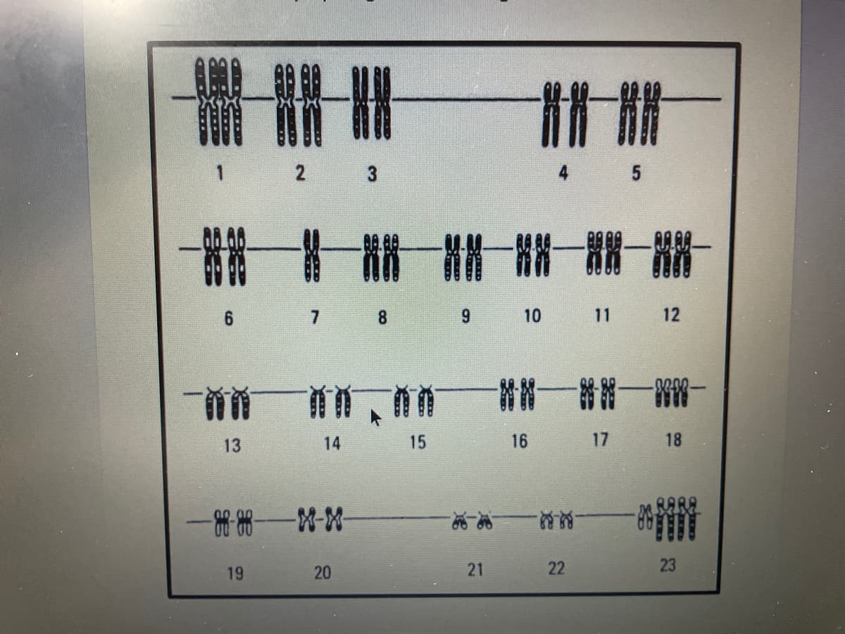 計 讚
2 3
一 一一精一
6.
7 8
10
11
12
一首的
首一番一留一
13
14
15
16 17
18
-第一M-M-
19
20
21
22
23
