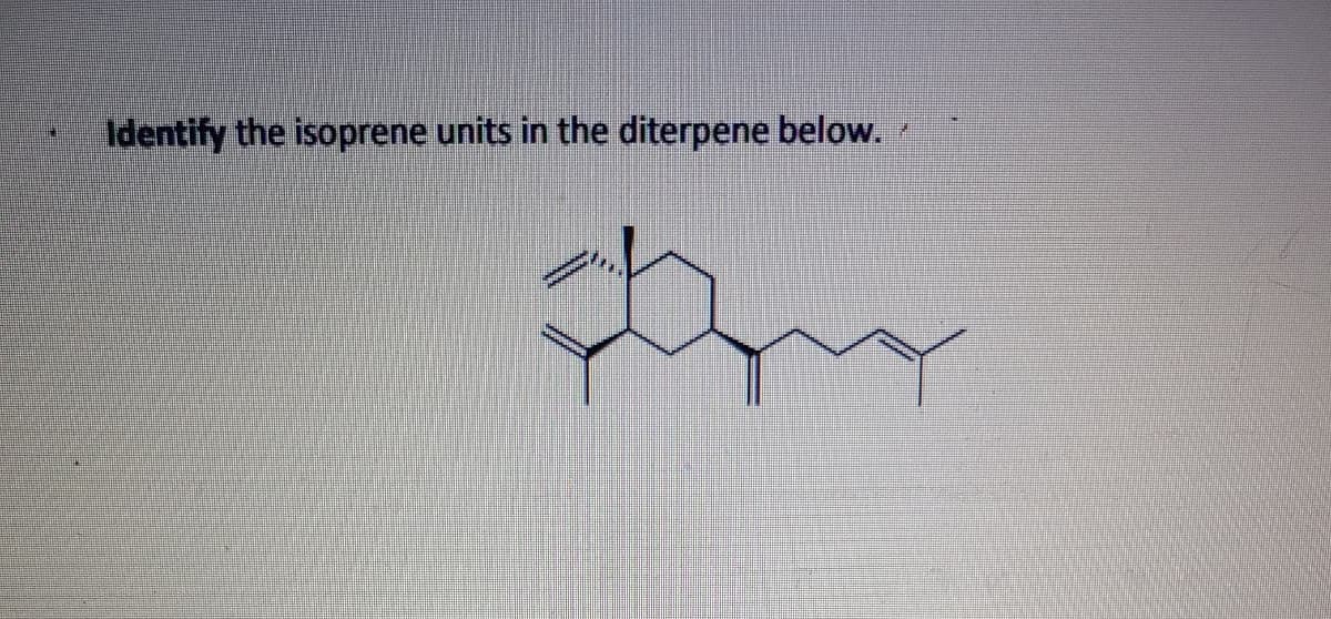 Identify the isoprene units in the diterpene below.
