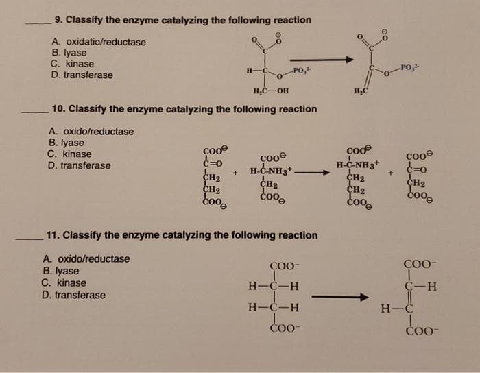 9. Classify the enzyme catalyzing the following reaction
A.
oxidatio/reductase
B. lyase
C. kinase
D. transferase
Coo
C=0
A. oxido/reductase
B. lyase
C. kinase
D. transferase
CH₂
CH₂
H-C
10. Classify the enzyme catalyzing the following reaction
A. oxido/reductase
B. lyase
C. kinase
D. transferase
coo
O
H₂C-OH
-PO,¹
Coo
+H-C-NH3+.
CH₂
Coo
11. Classify the enzyme catalyzing the following reaction
COO-
H-C-H
H-C-H
COO™
(=
H₂C
COOP
H-CNH3+
CH2
CH2
coo
+
-PO,¹
соо
d=0
CH₂
coo
COO-
C-H
H-C
COO-