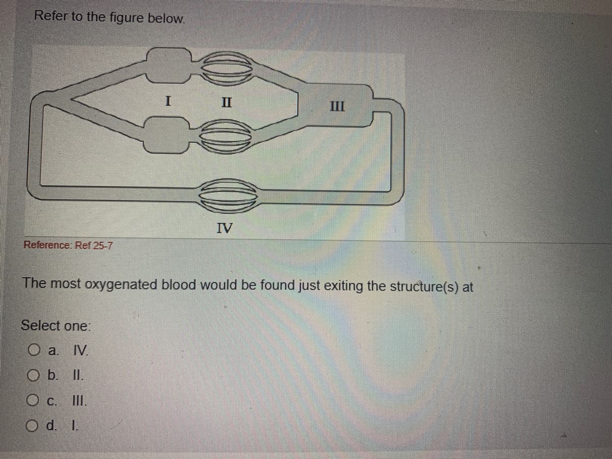 Refer to the figure below.
I II
III
IV
Reference: Ref 25-7
The most oxygenated blood would be found just exiting the structure(s) at
Select one:
IV.
O b. I.
O c. I.
O d. I.
