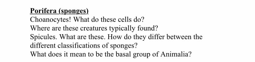 Porifera (sponges)
Choanocytes! What do these cells do?
Where are these creatures typically found?
Spicules. What are these. How do they differ between the
different classifications of sponges?
What does it mean to be the basal group of Animalia?

