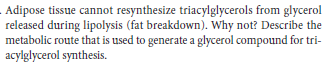 Adipose tissue cannot resynthesize triacylglycerols from glycerol
released during lipolysis (fat breakdown). Why not? Describe the
metabolic route that is used to generate a glycerol compound for tri-
acylglycerol synthesis.
