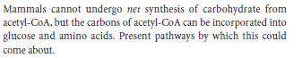 Mammals cannot undergo net synthesis of carbohydrate from
acetyl-CoA, but the carbons of acetyl-CoA can be incorporated into
glucose and amino acids. Present pathways by which this could
come about.
