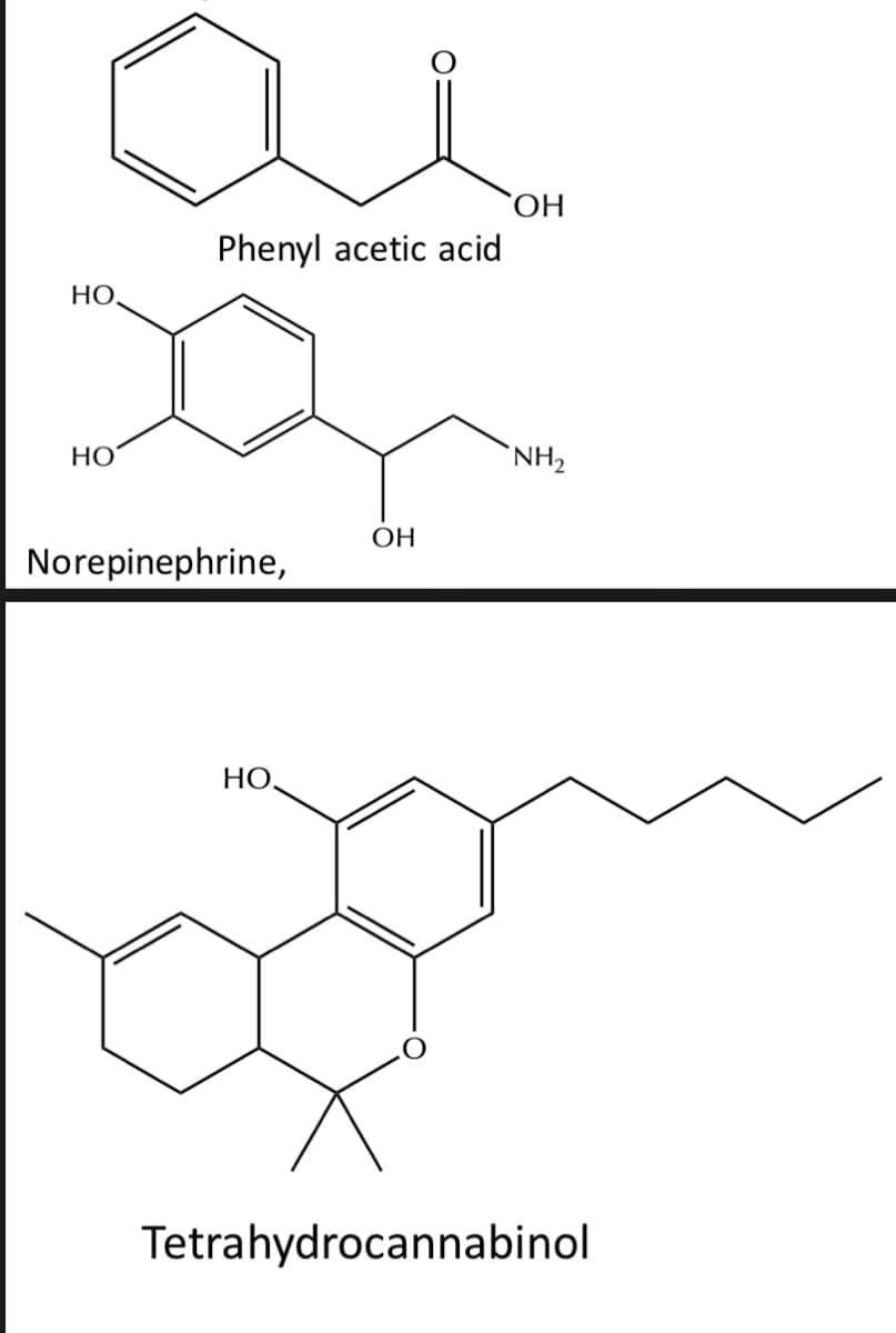 ОН
Phenyl acetic acid
HỌ,
НО
NH2
ОН
Norepinephrine,
НО.
Tetrahydrocannabinol
