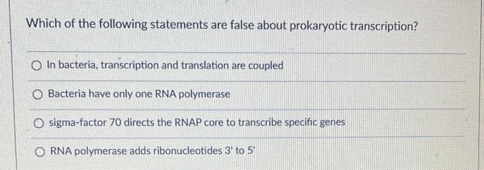 Which of the following statements are false about prokaryotic transcription?
O In bacteria, transcription and translation are coupled
O Bacteria have only one RNA polymerase
O sigma-factor 70 directs the RNAP core to transcribe specific genes
O RNA polymerase adds ribonucleotides 3' to 5'
