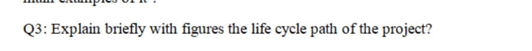 Q3: Explain briefly with figures the life cycle path of the project?
