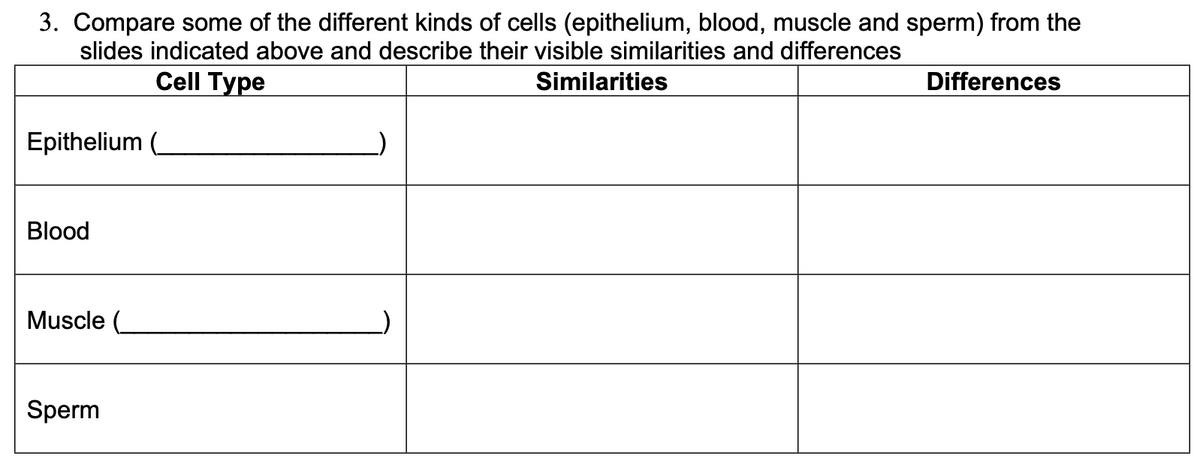 3. Compare some of the different kinds of cells (epithelium, blood, muscle and sperm) from the
slides indicated above and describe their visible similarities and differences
Cell Type
Similarities
Differences
Epithelium (
Blood
Muscle (_
Sperm
