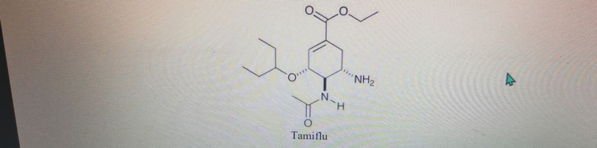 NH2
N.
H.
Tamiflu
