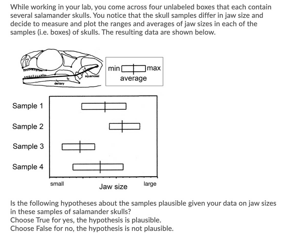 While working in your lab, you come across four unlabeled boxes that each contain
several salamander skulls. You notice that the skull samples differ in jaw size and
decide to measure and plot the ranges and averages of jaw sizes in each of the
samples (i.e. boxes) of skulls. The resulting data are shown below.
min
max
squamosal
average
dentary
Sample 1
Sample 2
Sample 3
Sample 4
small
Jaw size
large
Is the following hypotheses about the samples plausible given your data on jaw sizes
in these samples of salamander skulls?
Choose True for yes, the hypothesis is plausible.
Choose False for no, the hypothesis is not plausible.

