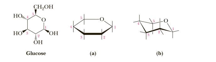 CH,OH
HO
НО
OH
ОН
Glucose
(а)
(b)
