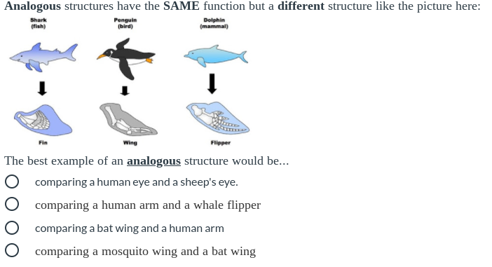 Analogous structures have the SAME function but a different structure like the picture here:
Penguin
(bird)
Dolphin
(mammal)
Shark
(fish)
Fin
Wing
Flipper
The best example of an analogous structure would be...
comparing a human eye and a sheep's eye.
comparing a human arm and a whale flipper
comparing a bat wing and a human arm
O comparing a mosquito wing and a bat wing
