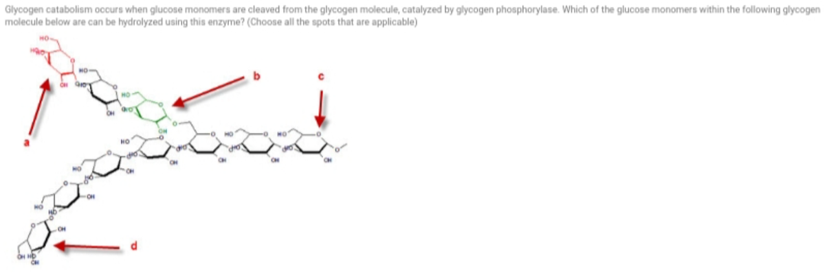 Glycogen catabolism occurs when glucose monomers are cleaved from the glycogen molecule, catalyzed by glycogen phosphorylase. Which of the glucose monomers within the following glycogen
molecule below are can be hydrolyzed using this enzyme? (Choose all the spots that are applicable)
HO
HO
CH
