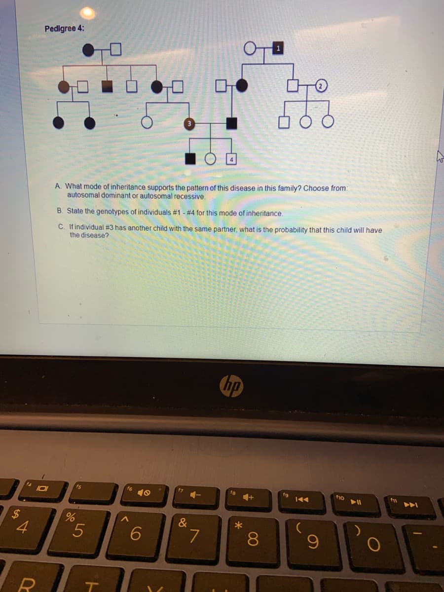 Pedigree 4:
A. What mode of inheritance supports the pattern of this disease in this family? Choose from:
autosomal dominant or autosomal recessive.
B. State the genotypes of individuals #1 - #4 for this mode of inheritance.
C. Ifindividual #3 has another child with the same partner, what is the probability that this child will have
the disease?
hp
fg
f10
トト
%24
4.
&
7
8
T
