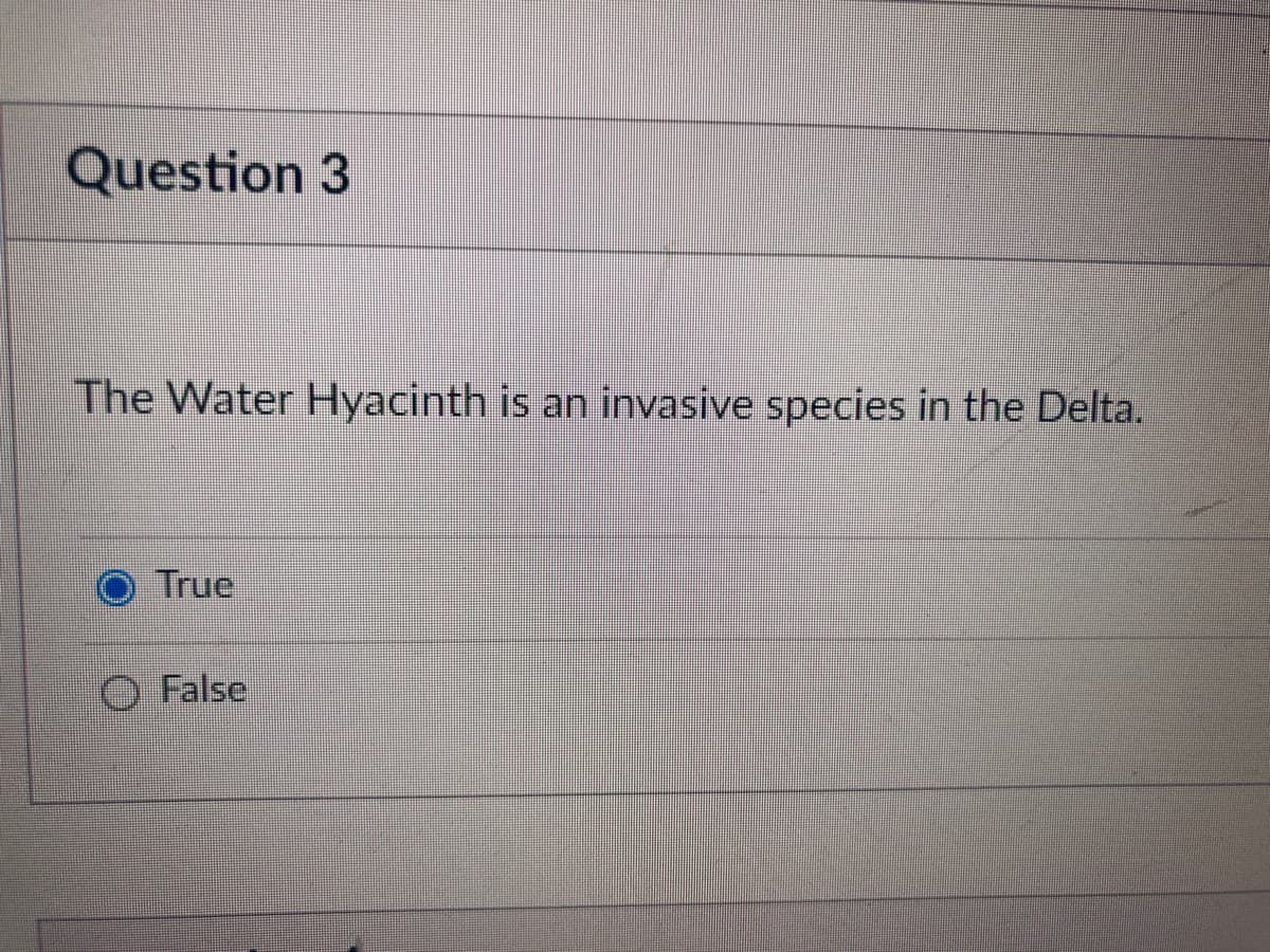 Question 3
The Water Hyacinth is an invasive species in the Delta.
True
False