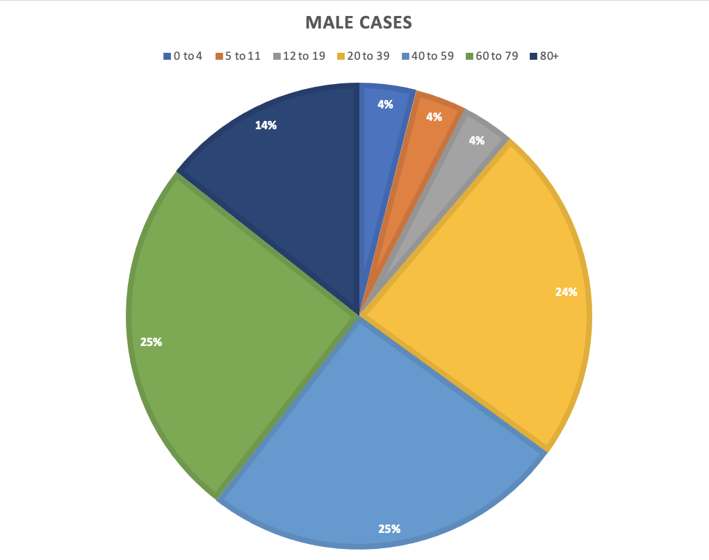 25%
MALE CASES
■0 to 4 ■5 to 1112 to 1920 to 39 40 to 59 60 to 79 80+
4%
4%
14%
25%
4%
24%