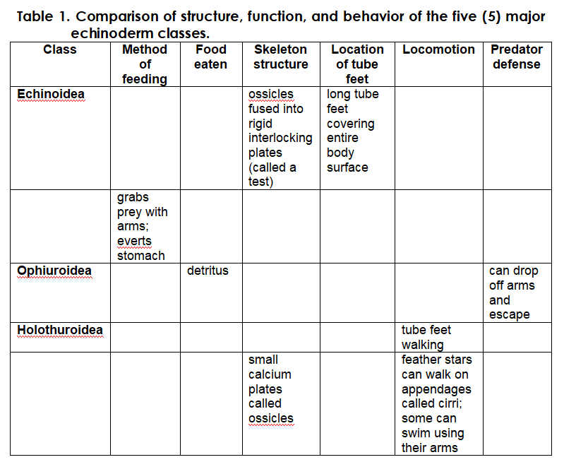 Table 1. Comparison of structure, function, and behavior of the five (5) major
echinoderm classes.
Class
Method
Food
Skeleton
Location
Locomotion Predator
of
eaten
structure
of tube
defense
feeding
feet
Echinoidea
long tube
ossicles
fused into
rigid
interlocking entire
plates
(called a
test)
www
feet
covering
body
surface
grabs
prey with
arms;
everts
ww w
stomach
Ophiuroidea
detritus
can drop
off arms
and
escape
Holothuroidea
tube feet
walking
feather stars
small
calcium
can walk on
plates
called
ossicles
appendages
called cirri;
some can
ww www
swim using
their arms
