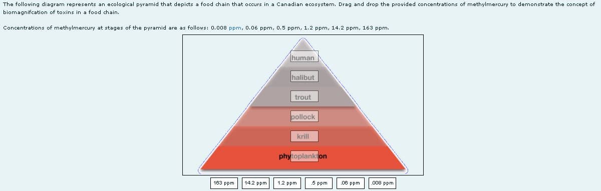 The following diagram represents an ecological pyramid that depicts a food chain that occurs in a Canadian ecosystem. Drag and drop the provided concentrations of methylmercury to demonstrate the concept of
biomagnifcation of toxins in a food chain.
Concentrations of methylmercury at stages of the pyramid are as follows: 0.008 ppm, 0.06 ppm, 0.5 ppm, 1.2 ppm, 14.2 ppm, 163 ppm.
human
halibut
trout
pollock
krill
phytoplankton
163 ppm 14.2 ppm
1.2 ppm
.5 ppm
.06 ppm
.008 ppm.