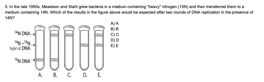 5. In the late 1950s, Meselson and Stahl grew bacteria in a medium containing "heavy" nitrogen (15N) and then transferred them to a
medium containing 14N. Which of the results in the figure above would be expected after two rounds of DNA replication in the presence of
14N?
A) A
в) в
C) C
14N DNA
14N –15N.
hybrid DNA
D) D
E) E
15N DNA
А. В. С. D. E.
