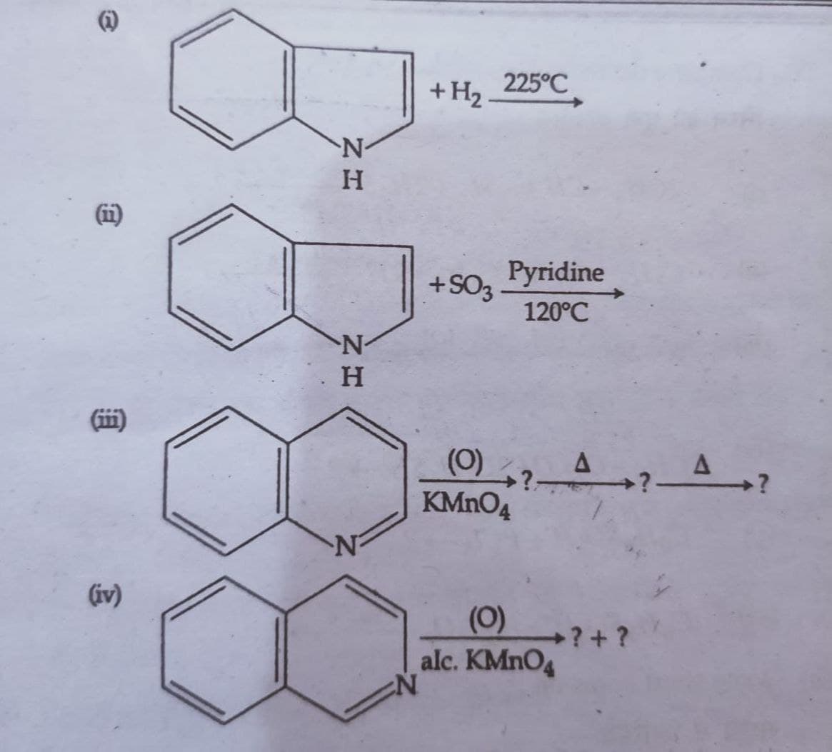 (11)
€
(iv)
N
H
ZH
N
Η
225°C
+ H₂
+SO3
Pyridine
120°℃
(0) 、?▬ª✦? ª?
KMnO4
(0)
alc. KMnO4
?+ ?