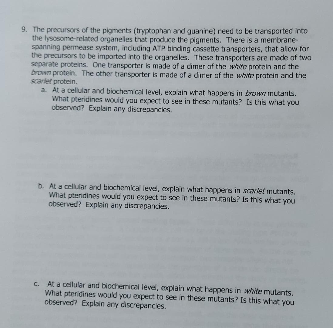 9. The precursors of the pigments (tryptophan and guanine) need to be transported into
the lysosome-related organelles that produce the pigments. There is a membrane-
spanning permease system, including ATP binding cassette transporters, that allow for
the precursors to be imported into the organelles. These transporters are made of two
separate proteins. One transporter is made of a dimer of the white protein and the
brown protein. The other transporter is made of a dimer of the white protein and the
scarlet protein.
a. At a cellular and biochemical level, explain what happens in brown mutants.
What pteridines would you expect to see in these mutants? Is this what you
observed? Explain any discrepancies.
b. At a cellular and biochemical level, explain what happens in scarlet mutants.
What pteridines would you expect to see in these mutants? Is this what you
observed? Explain any discrepancies.
At a cellular and biochemical level, explain what happens in white mutants.
What pteridines would you expect to see in these mutants? Is this what you
observed? Explain any discrepancies.
C.
