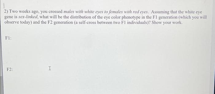 2) Two weeks ago, you crossed males with white eyes to females with red eyes. Assuming that the white eye
gene is sex-linked, what will be the distribution of the eye color phenotype in the F1 generation (which you will
observe today) and the F2 generation (a self-cross between two F1 individuals)? Show your work.
F1:
F2:
