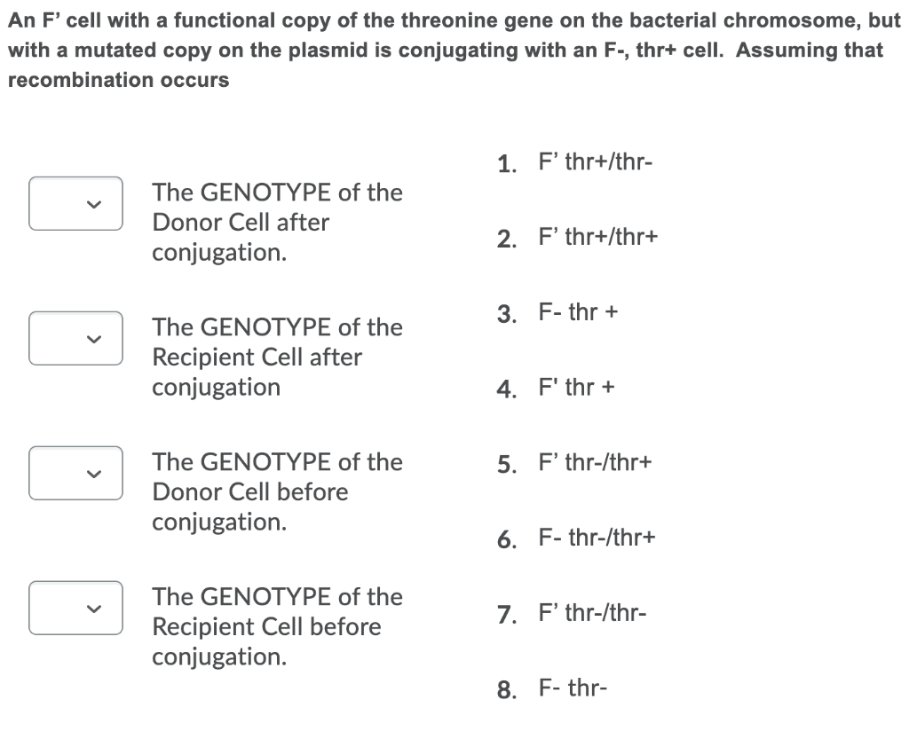 An F' cell with a functional copy of the threonine gene on the bacterial chromosome, but
with a mutated copy on the plasmid is conjugating with an F-, thr+ cell. Assuming that
recombination occurs
1. F' thr+/thr-
The GENOTYPE of the
Donor Cell after
2. F' thr+/thr+
conjugation.
3. F- thr +
The GENOTYPE of the
Recipient Cell after
conjugation
4. F' thr +
The GENOTYPE of the
5. F' thr-/thr+
Donor Cell before
conjugation.
6. F- thr-/thr+
The GENOTYPE of the
7. F' thr-/thr-
Recipient Cell before
conjugation.
8. F- thr-
