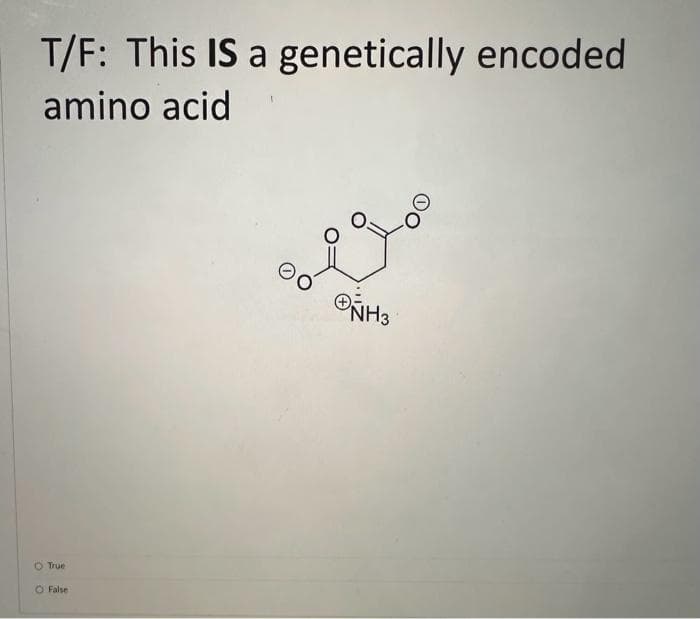 T/F: This IS a genetically encoded
amino acid
O True
O False
NH3