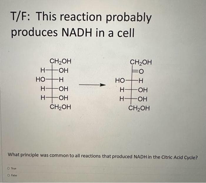 T/F: This reaction probably
produces NADH in a cell
O True
CH2OH
H-OH
O False
HO-H
Н-
H-OH
H-OH
CH₂OH
НО-
Н
H
CH2OH
Fo
What principle was common to all reactions that produced NADH in the Citric Acid Cycle?
-H
-ОН
-OH
CH₂OH