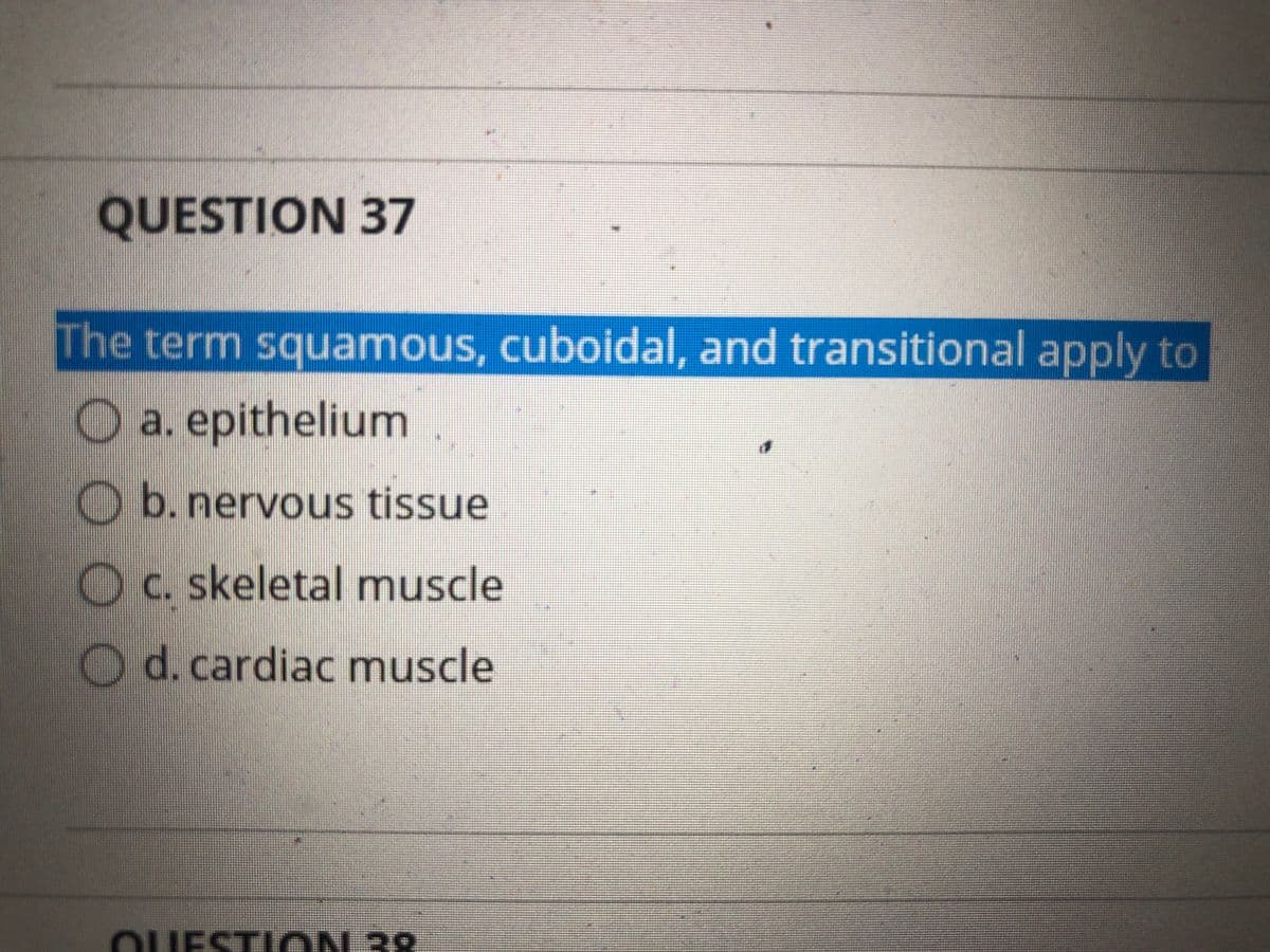 QUESTION 37
The term squamous, cuboidal, and transitional apply to
O a. epithelium
O b. nervous tissue
O c. skeletal muscle
O d.cardiac muscle
OUESTI ON 38
