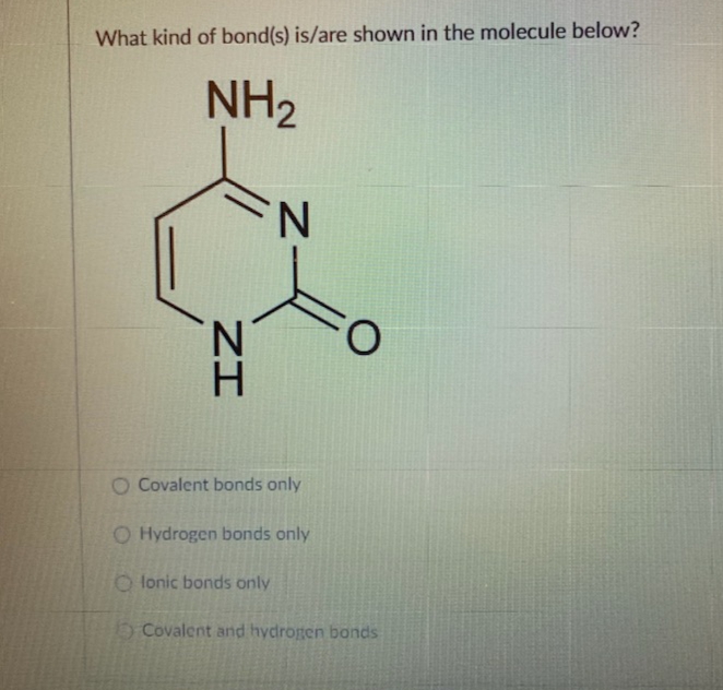 What kind of bond(s) is/are shown in the molecule below?
NH2
N.
O Covalent bonds only
O Hydrogen bonds only
O lonic bonds only
Covalent and hydrogen bonds
ZI
