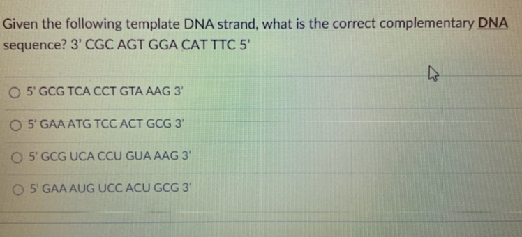 Given the following template DNA strand, what is the correct complementary DNA
sequence? 3' CGC AGT GGA CAT TTC 5'
O 5' GCG TCA CCT GTA AAG 3'
O 5' GAA ATG TCC ACT GCG 3'
O 5' GCG UCA CCU GUA AAG 3'
O 5' GAA AUG UCC ACU GCG 3'
