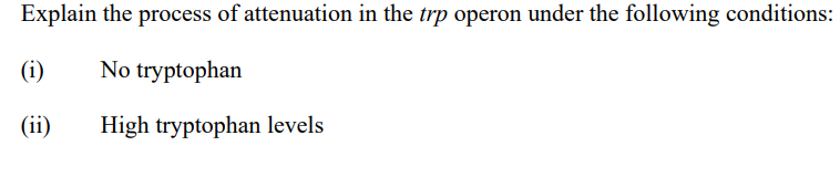Explain the process of attenuation in the trp operon under the following conditions:
(i)
No tryptophan
(ii)
High tryptophan levels
