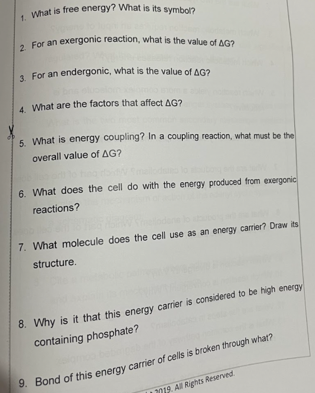 1. What is free energy? What is its symbol?
3. For an endergonic, what is the value of AG?
2. For an exergonic reaction, what is the value of AG?
2. For an endergonic, what is the value of AG?
4 What are the factors that affect AG?
5. What is energy coupling? In a coupling reaction, what must be the
overall value of AG?
6. What does the cell do with the energy produced from exergonic
reactions?
7. What molecule does the cell use as an energy carrier? Draw its
structure.
8. Why is it that this energy carrier is considered to be high energy
containing phosphate?
9. Bond of this energy carrier of cells is broken through what?
2019. All Rights Reserved.
